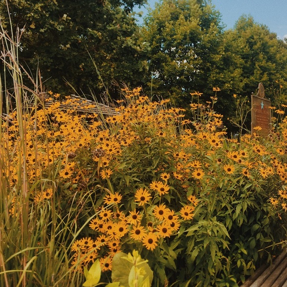 Meet your Posher, Daveigh - Picture 1 of 1